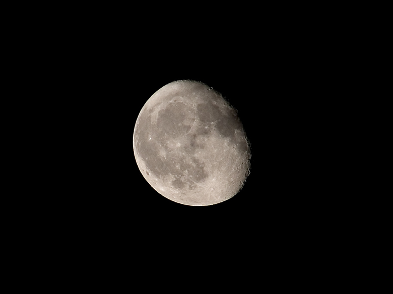 DSCF7172.jpg