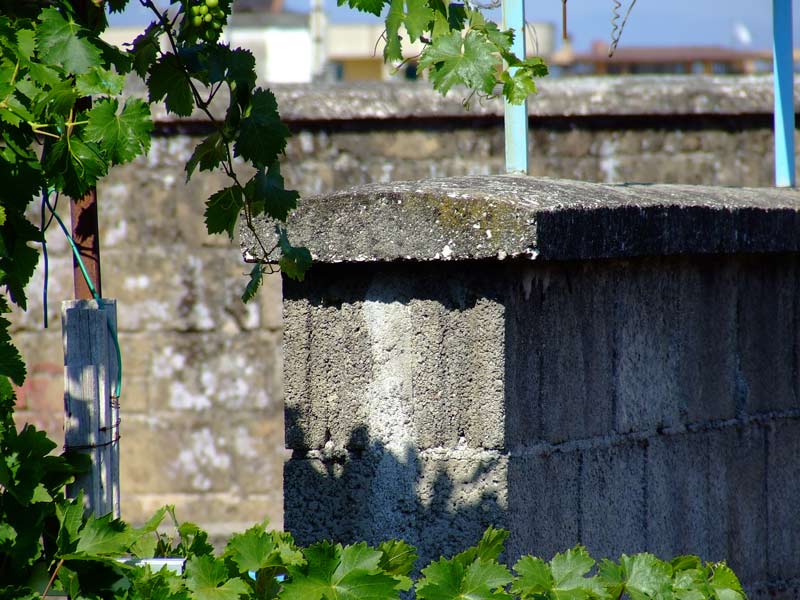 DSCF7238.jpg