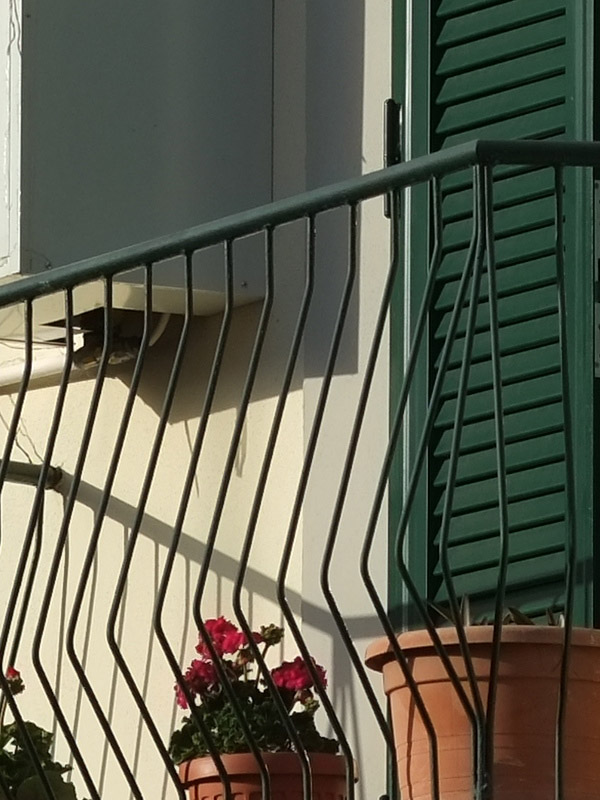 DSCF7240Crop.jpg