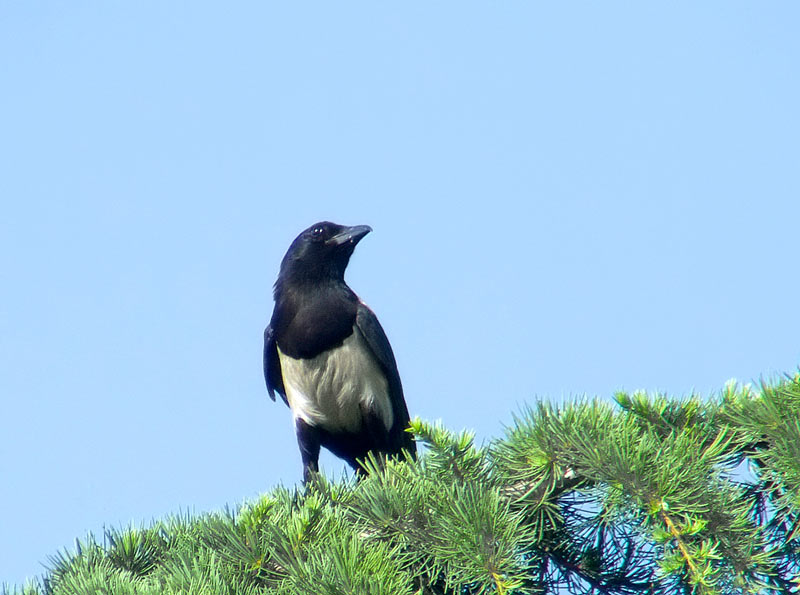 DSCF7694.jpg