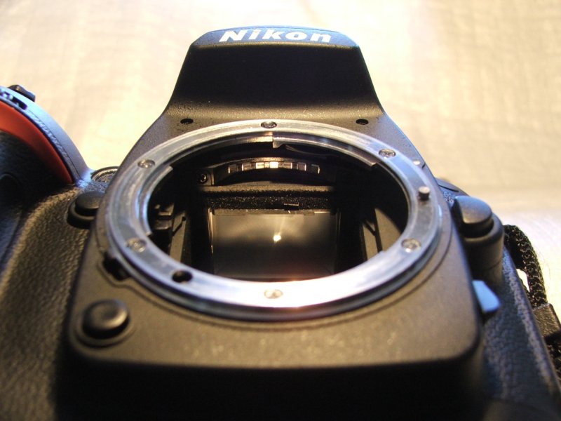DSCF7895.jpg