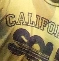 DSCF8359_crop.JPG