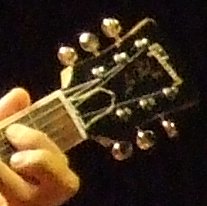 DSCF8364_crop.JPG