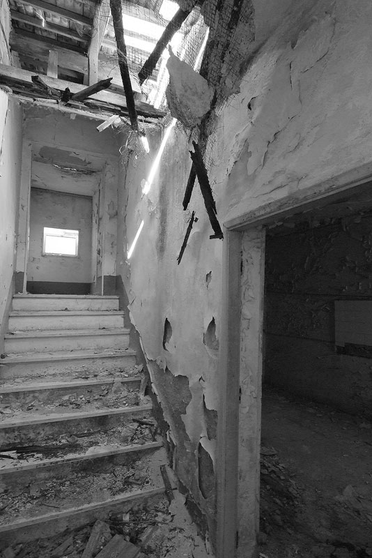 DSCF8875dr1600.jpg