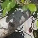 DSCF9542crop2.jpg
