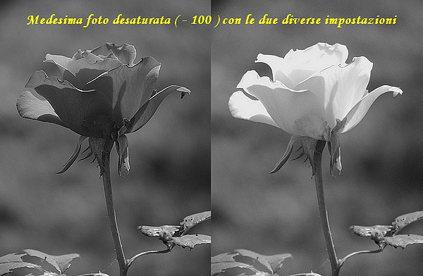 e_189.jpg