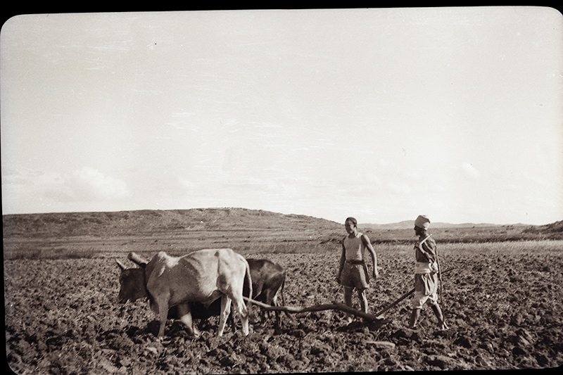Eritrea_0002-Modifica.jpg