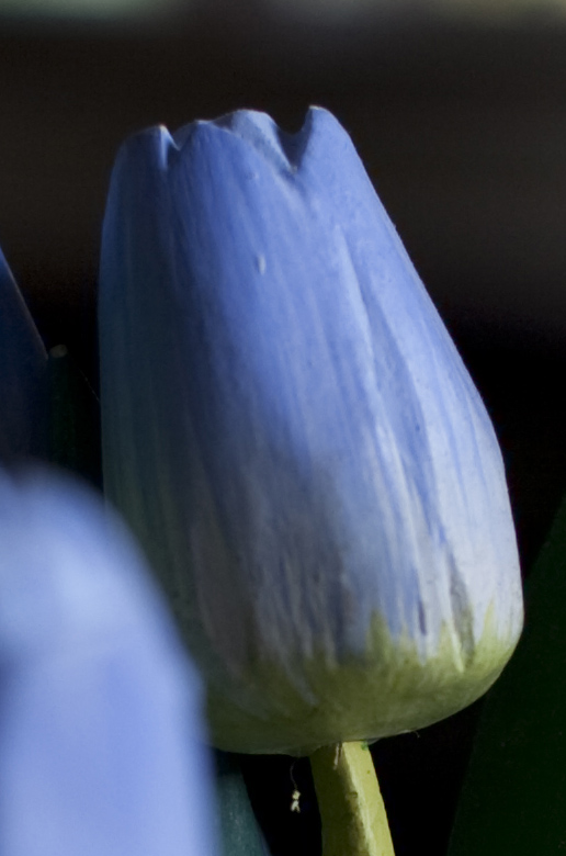 f2,8crop.jpg