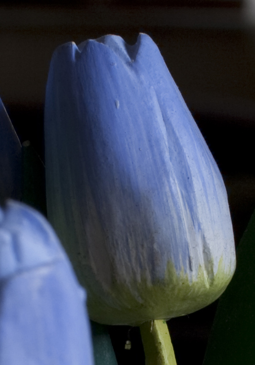 f8crop.jpg