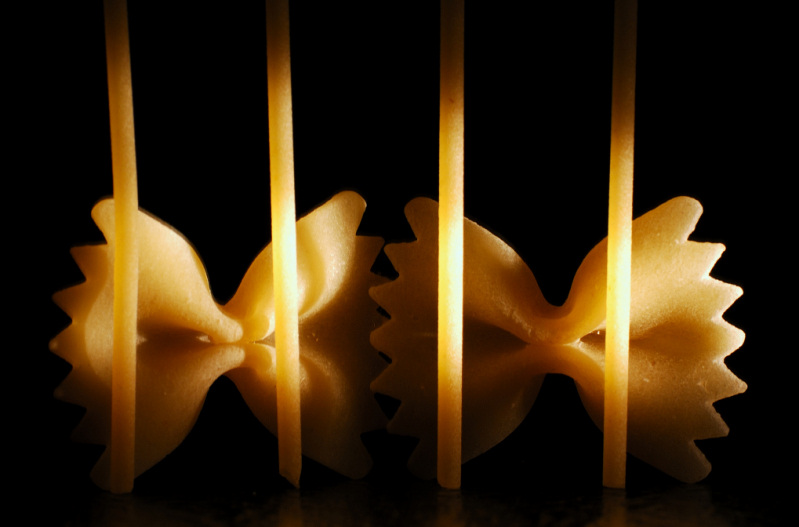 Farfalle in gabbia.jpg
