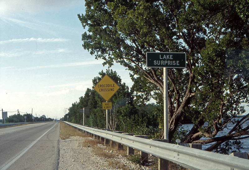 Florida_0163_web.jpg