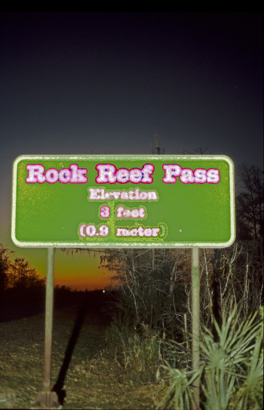 Florida_0215_web.jpg