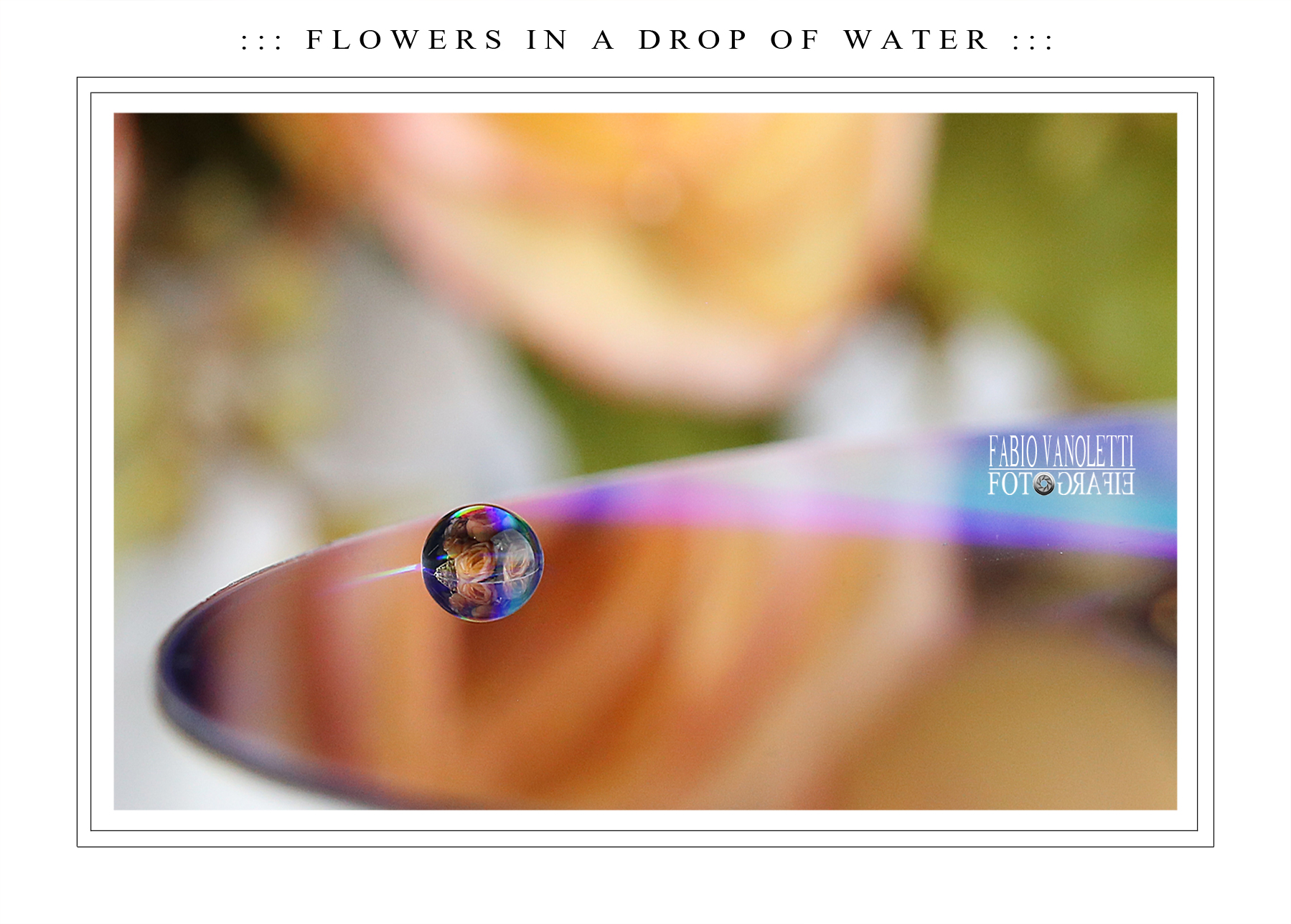 FLOWERS IN A DROP OF WATER.jpg