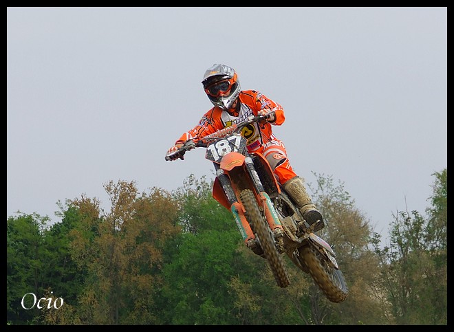 fly_orange_100.jpg