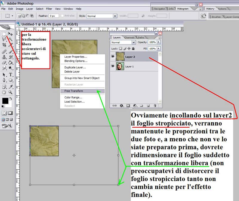 Foglio#3.jpg