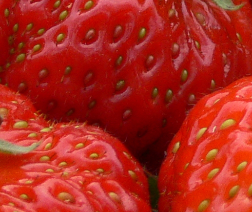 fragole.jpg