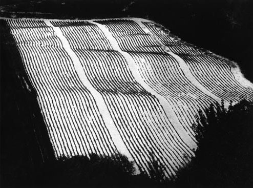 giacomelli_ph4u.jpg
