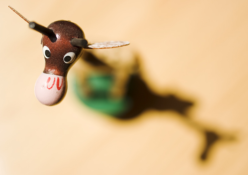 giraffa_f2.8.jpg
