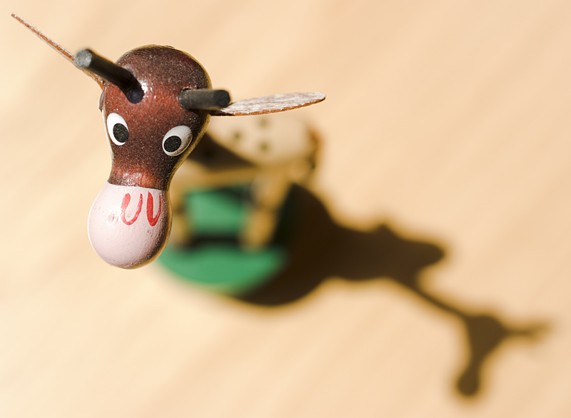 giraffa_f5.6.jpg