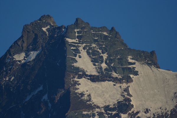 grivola 1000mm.jpg