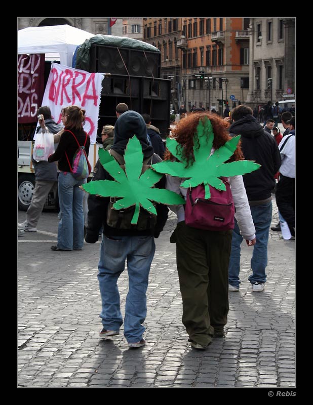 HempBros.jpg