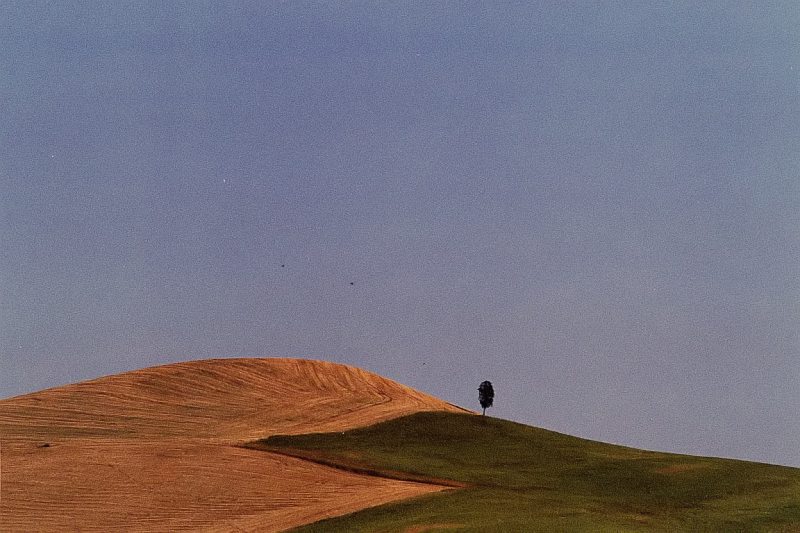 Image302c.jpg