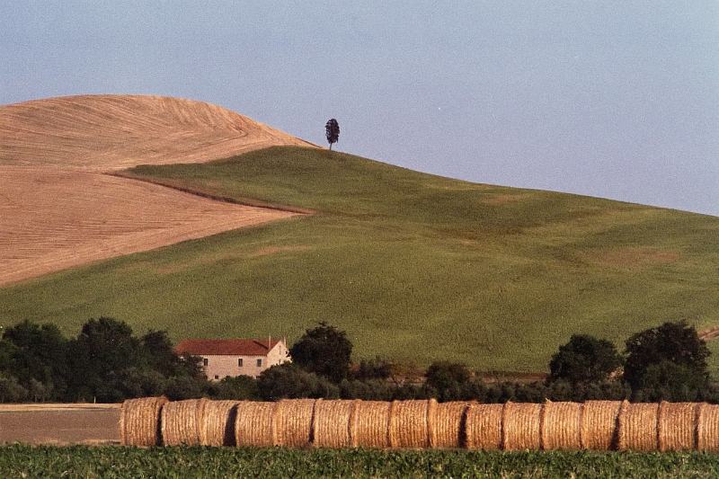 Image305c.jpg
