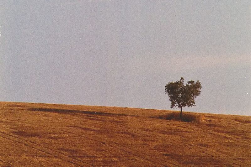 Image404c.JPG
