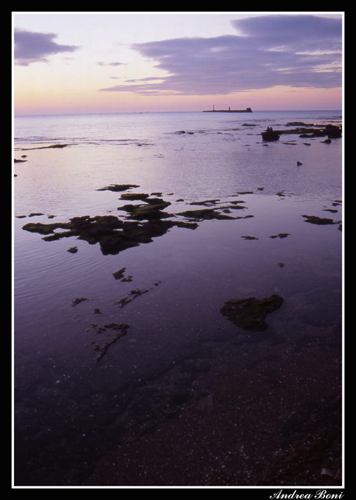 img001.jpg