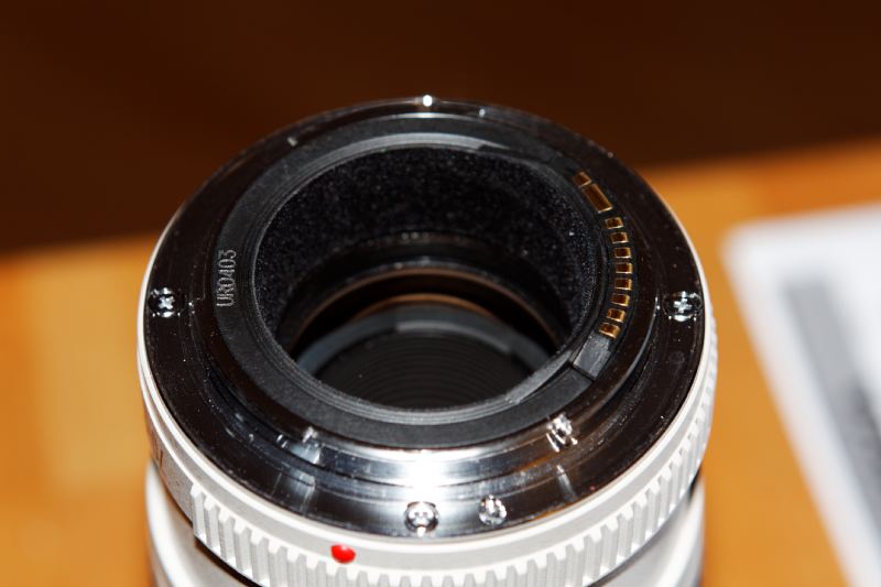 IMG_0072_DxO_raw.jpg