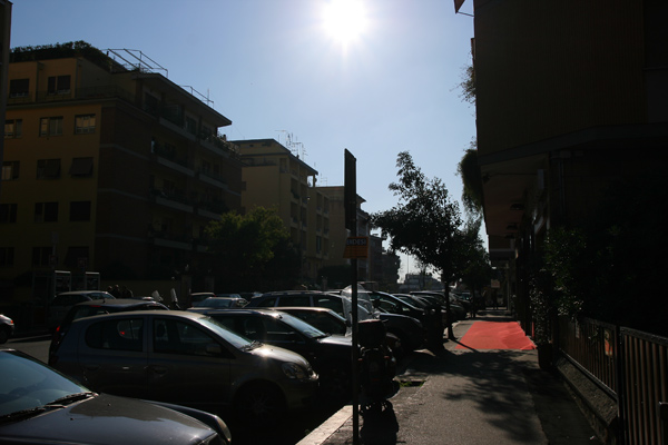 IMG_1127.jpg