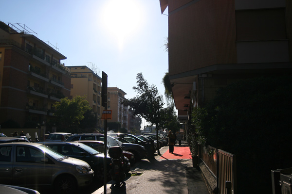 IMG_1132.jpg
