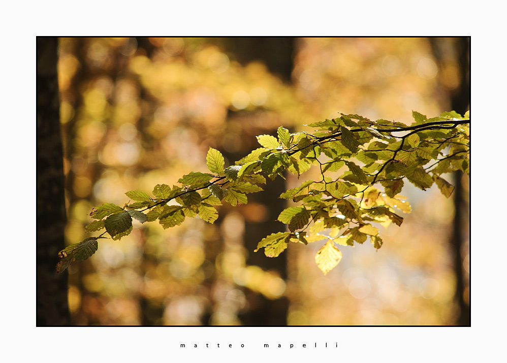 IMG_1359-Edit.jpg