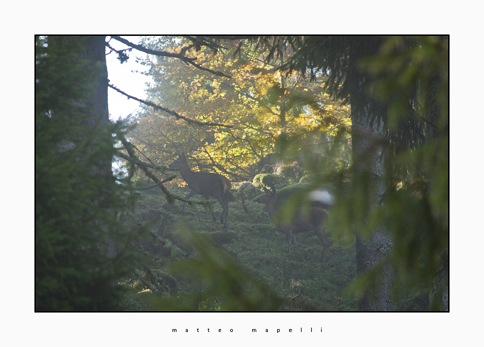 IMG_1494-Edit.jpg