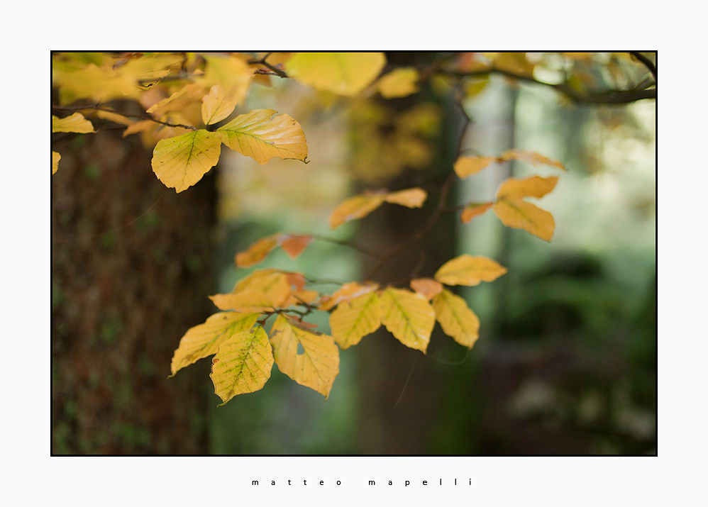 IMG_1553-Edit.jpg