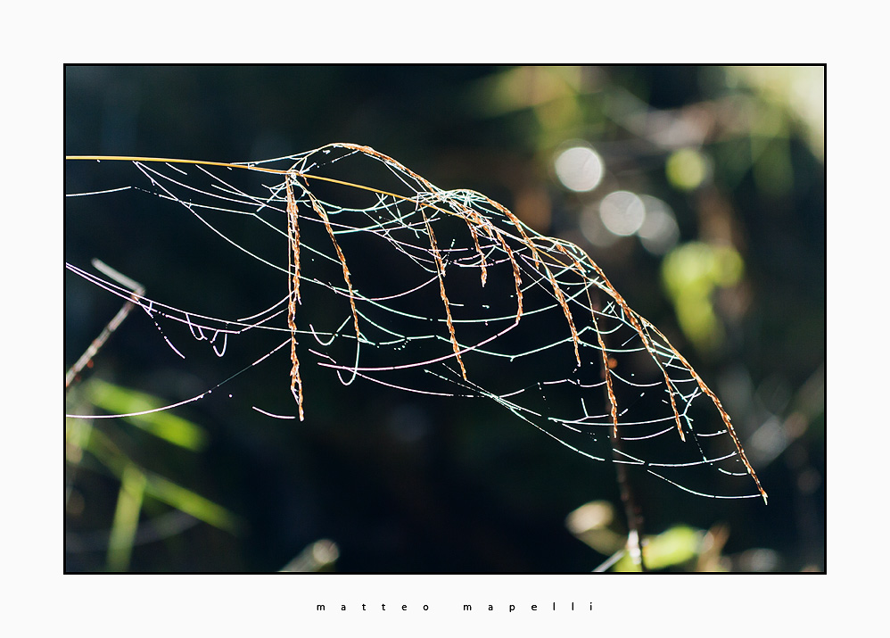 IMG_1580-Edit.jpg