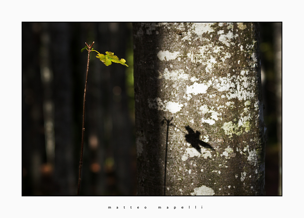 IMG_1659-Edit.jpg