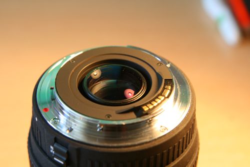 IMG_2227.jpg