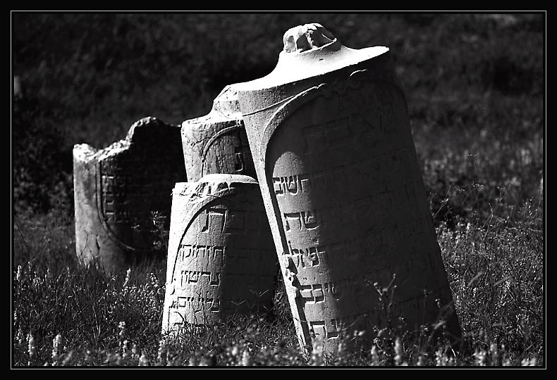 IMG_2434-duo.jpg