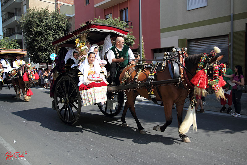 IMG_3831_800.jpg