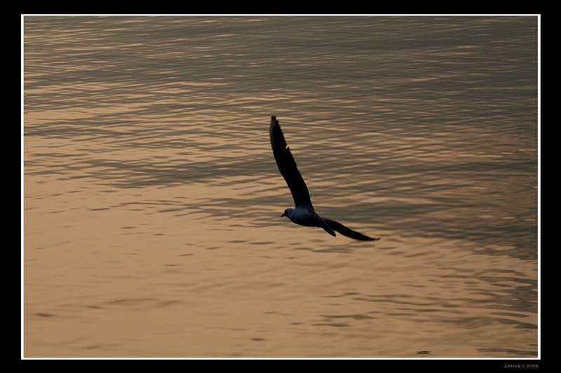 IMG_6532.jpg