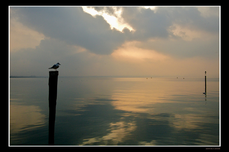 IMG_6541.jpg