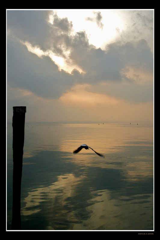 IMG_6542.jpg