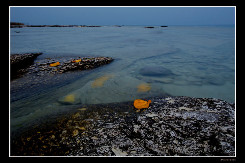 IMG_6639.jpg