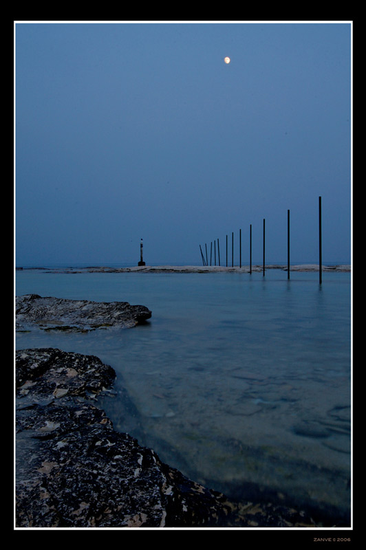 IMG_6647.jpg