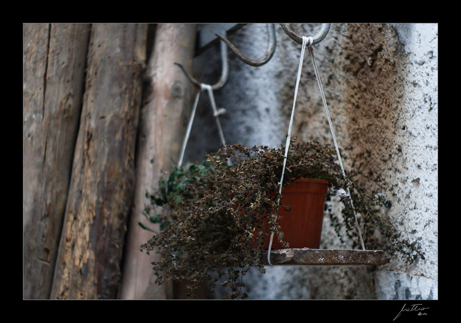 IMG_9715-Edit.jpg