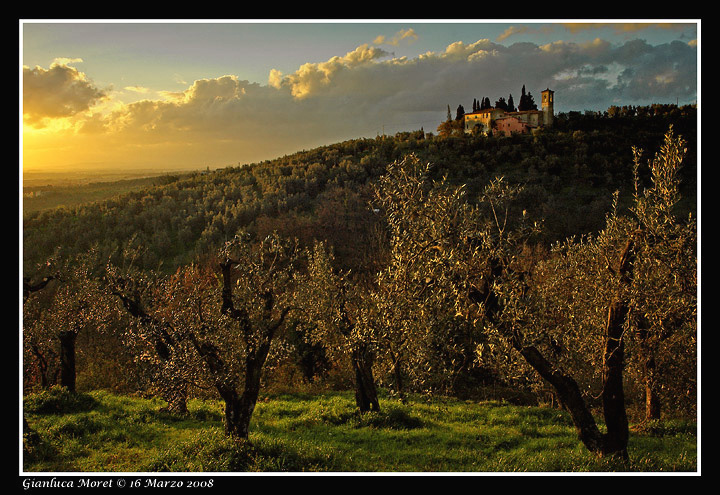 IMGP1055mridotta.jpg