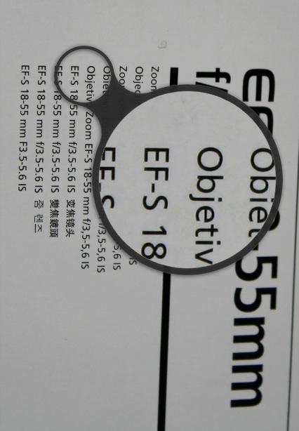 Immagine-4.jpg