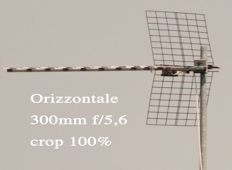 Immagine 1.jpg