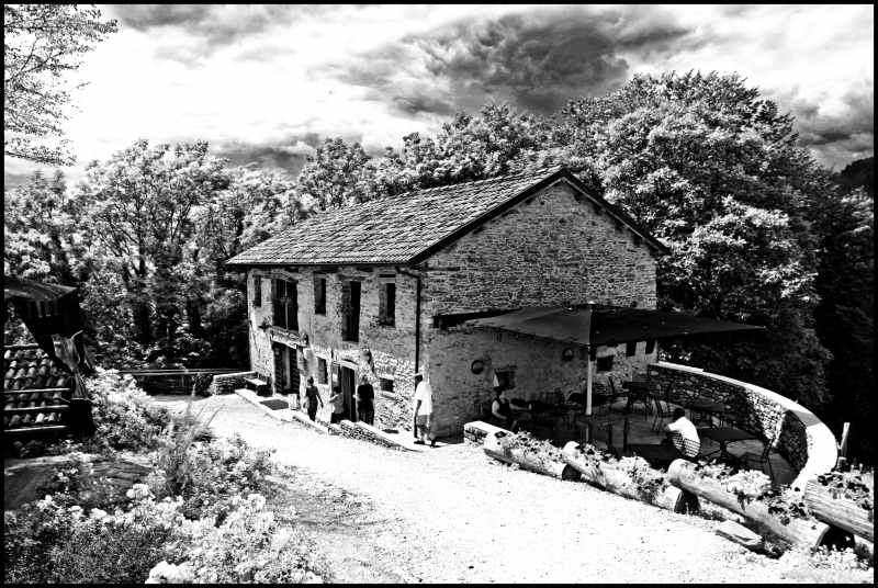 Infrared 10.jpg